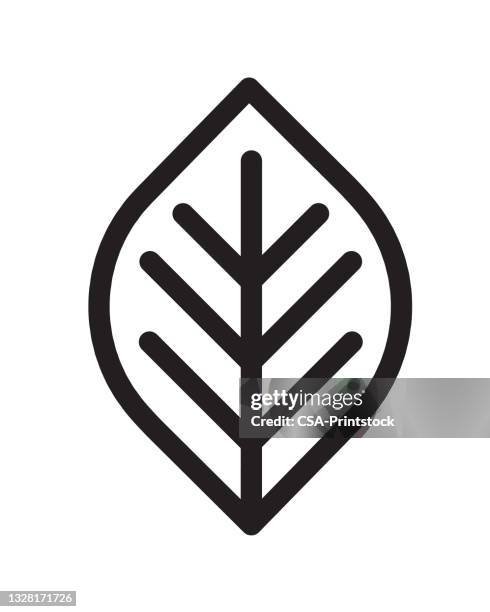 leaf icon - leaf stock illustrations