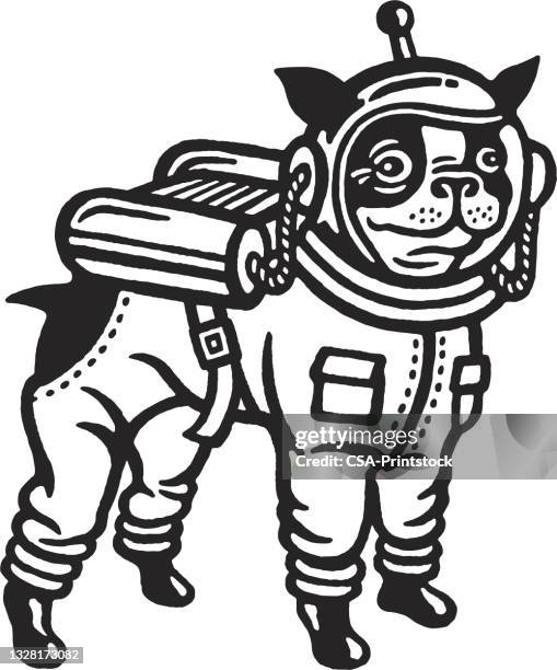 astronaut boston terrier - black and white dog stock illustrations