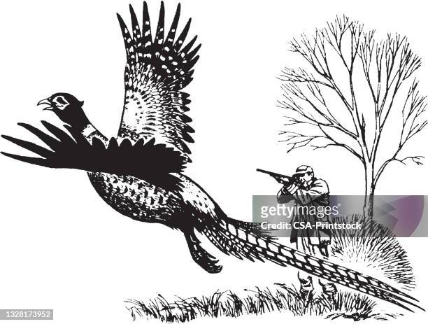 view of hunter shooting to flying pheasant - hunting stock illustrations