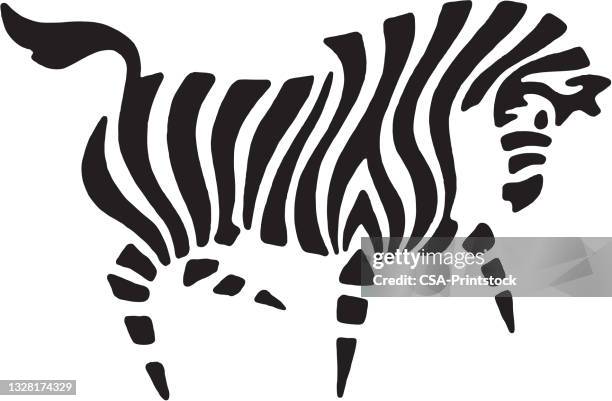 stockillustraties, clipart, cartoons en iconen met illustration of zebra - zebra