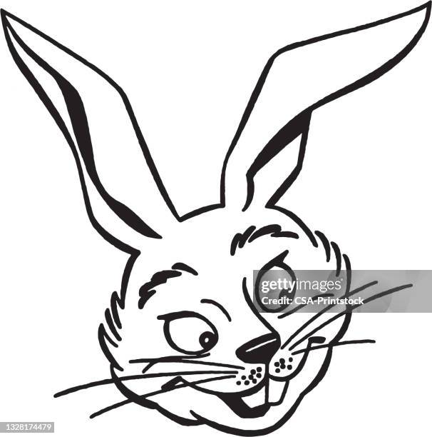 illustration of rabbit - face looking down stock illustrations