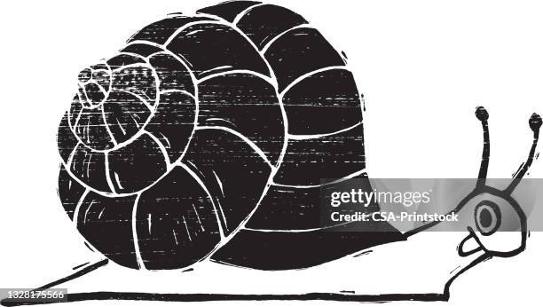 illustration der cartoon-schnecke - weinbergschnecke stock-grafiken, -clipart, -cartoons und -symbole