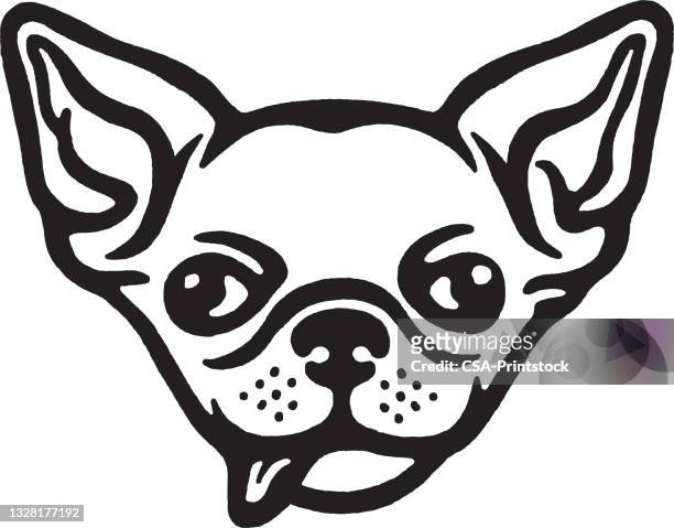 chihuahua sticking out tongue - chihuahua stock illustrations