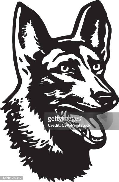 illustrazioni stock, clip art, cartoni animati e icone di tendenza di illustrazione con colpo alla testa del cane - pastore tedesco