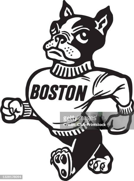 anthropomorphic dog mascot with boston on sweater - mascot stock illustrations