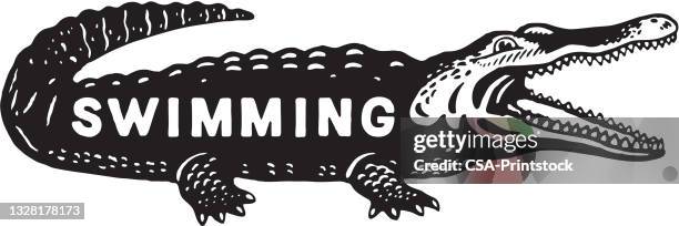 ilustrações de stock, clip art, desenhos animados e ícones de illustration of crocodile with swimming text written on it - crocodilo