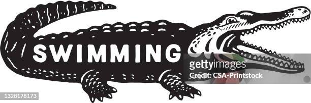 illustration of crocodile with swimming text written on it - crocodile stock illustrations