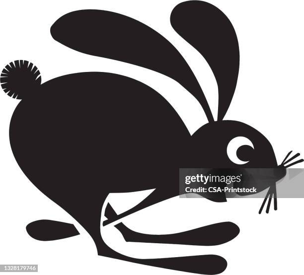 35 Fast Rabbit Icon High Res Illustrations - Getty Images