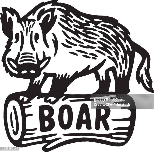 boar on a log - wild boar stock illustrations