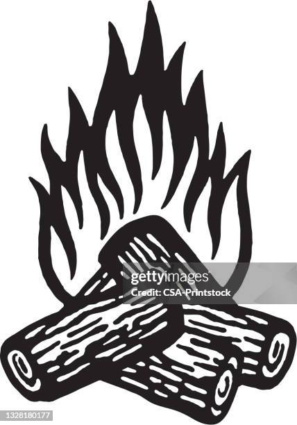 holzfeuer - campfire no people stock-grafiken, -clipart, -cartoons und -symbole