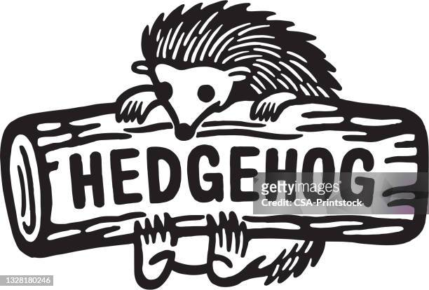 hedgehog on a log - hedgehog stock illustrations