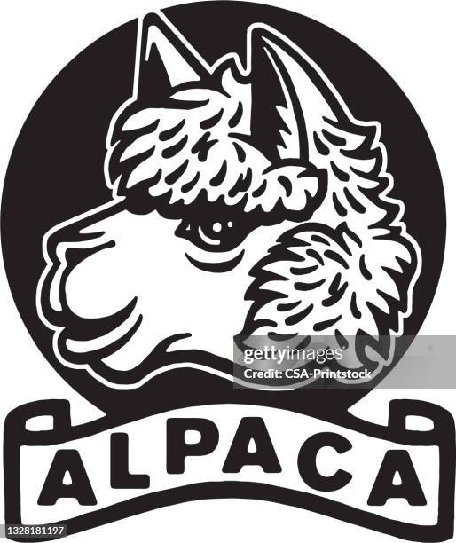 alpaca - alpaca stock illustrations