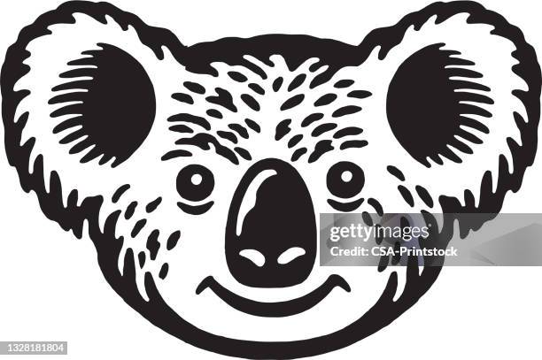 one koala - koala stock illustrations