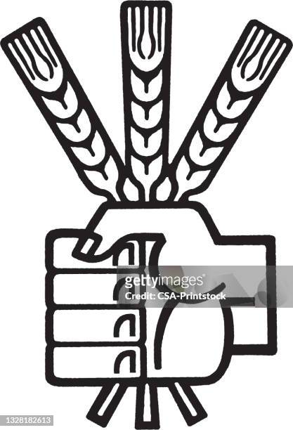 hand holding three stalks - agriculture logo stock illustrations