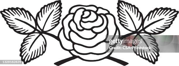 1 295点のバラ 線画イラスト素材 Getty Images 1 295点のバラ 線画イラスト素材 Getty Images