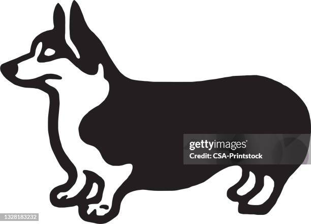 ilustrações, clipart, desenhos animados e ícones de pembroke welsh corgi dog - pembroke welsh corgi
