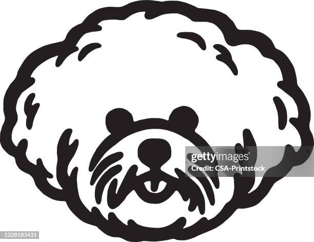 bichon frieze dog - bichon frise stock illustrations