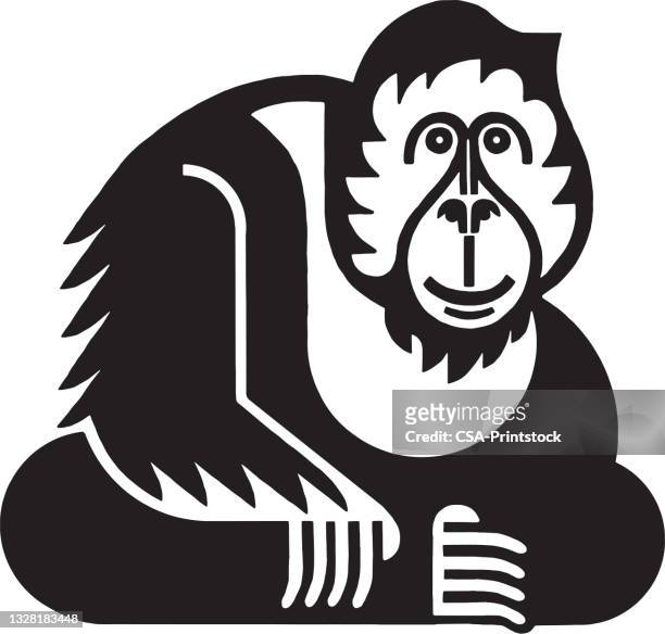 ilustraciones, imágenes clip art, dibujos animados e iconos de stock de orangután - orangután