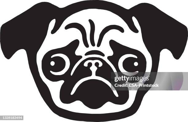 bildbanksillustrationer, clip art samt tecknat material och ikoner med pug dog face - pug