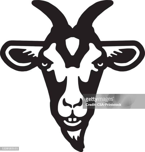 ilustraciones, imágenes clip art, dibujos animados e iconos de stock de cara de cabra - cabra mamífero ungulado