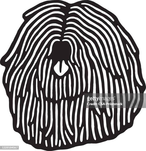komondor dog face - panting stock illustrations