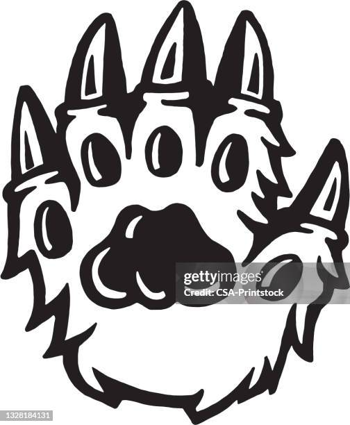 paw with claws - bear paw print stock illustrations