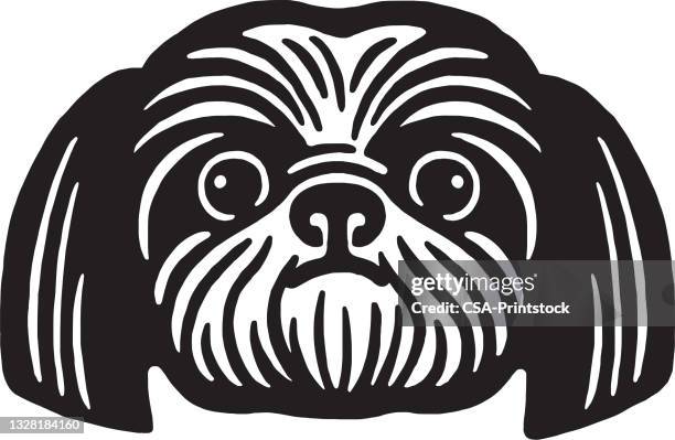 shih tzu face - shih tzu stock illustrations