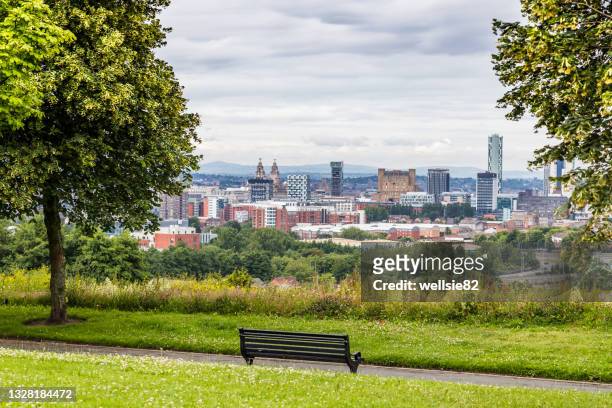 bench overlooking liverpool - liverpool uk stockfoto's en -beelden