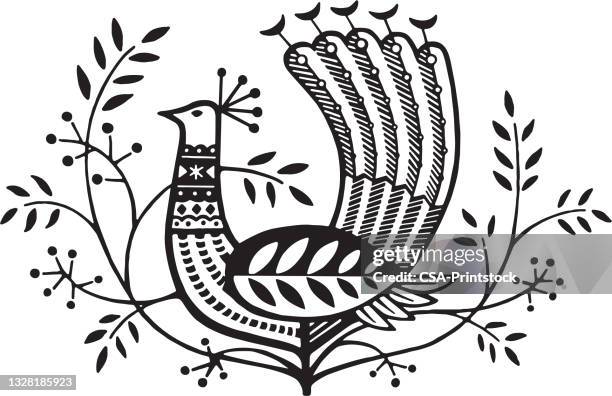 peacock - single peacock feather stock illustrations