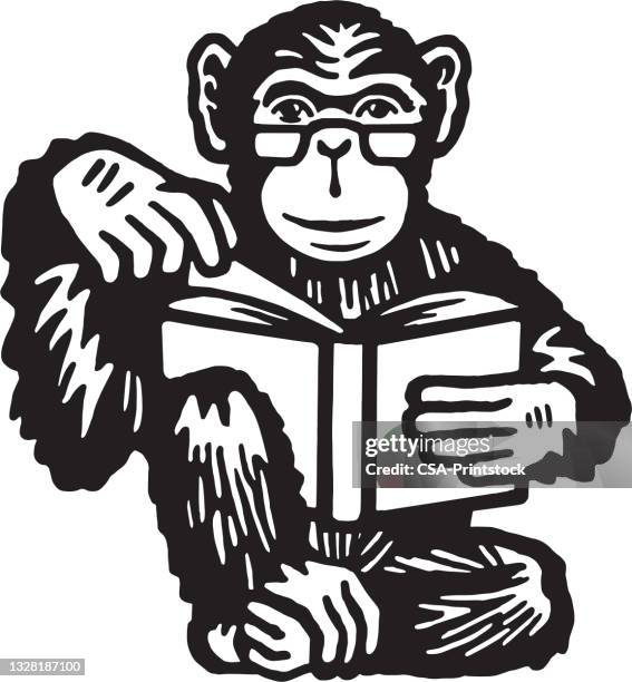 chimpanzee reading a book - chimpanzee stock illustrations