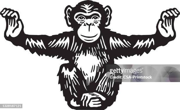 schimpanse mit ausgebreiteten armen - neuweltaffen und hundsaffen stock-grafiken, -clipart, -cartoons und -symbole