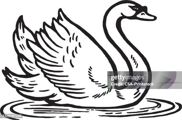 illustrations, cliparts, dessins animés et icônes de cygne - swan
