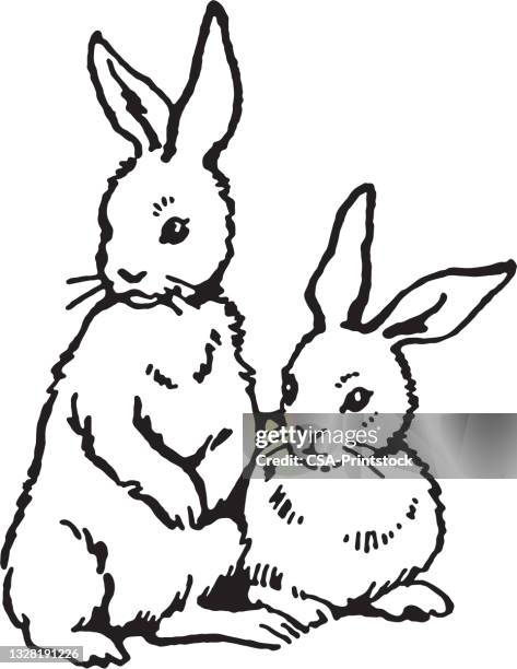 8 626点のうさぎイラストのストックフォト Getty Images 8 626点のうさぎイラストのストックフォト Getty Images