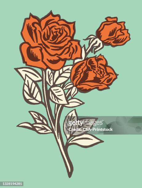 ilustraciones, imágenes clip art, dibujos animados e iconos de stock de rosas - plant stem