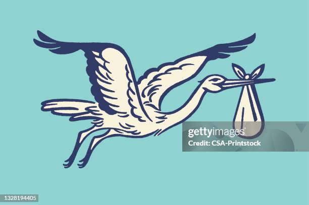 storch mit einem bündel - geburtsanzeige stock-grafiken, -clipart, -cartoons und -symbole