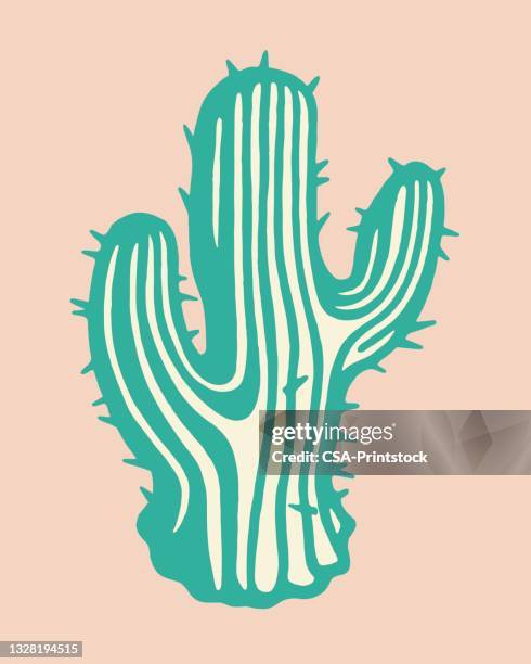 42 Ilustrações de Cactus Logo Vector - Getty Images