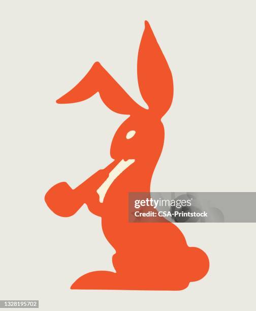 rabbit smoking a pipe - bong stock illustrations