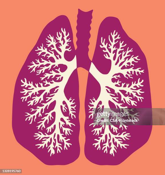 der lunge - bronchialbaum stock-grafiken, -clipart, -cartoons und -symbole