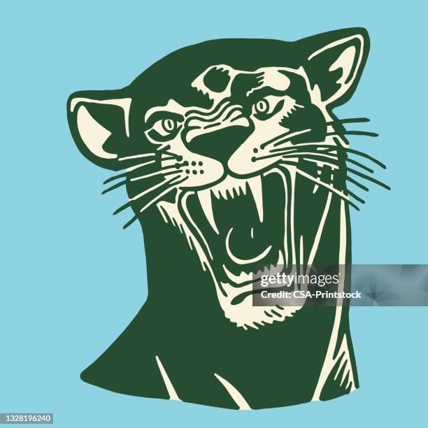 Ilustraciones de Pantera - Getty Images Ilustraciones de Pantera - Getty Images