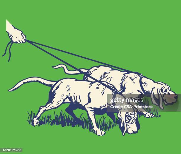 stockillustraties, clipart, cartoons en iconen met two hound dogs - bloedhond