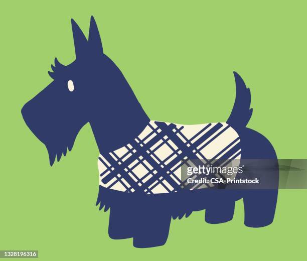 ilustrações de stock, clip art, desenhos animados e ícones de scottish terrier - tail