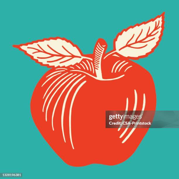 stockillustraties, clipart, cartoons en iconen met apple - apple