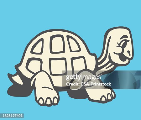 Turtle Turtle