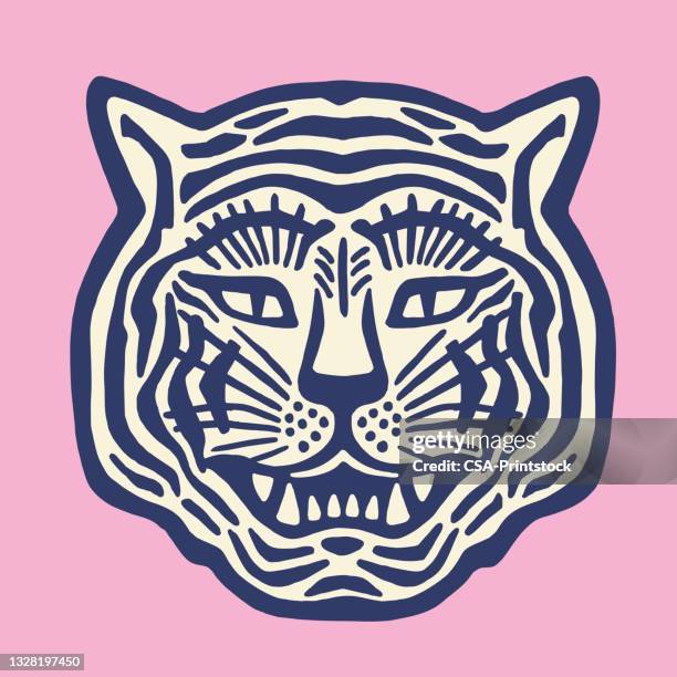 tiger - wildcat animal stock illustrations