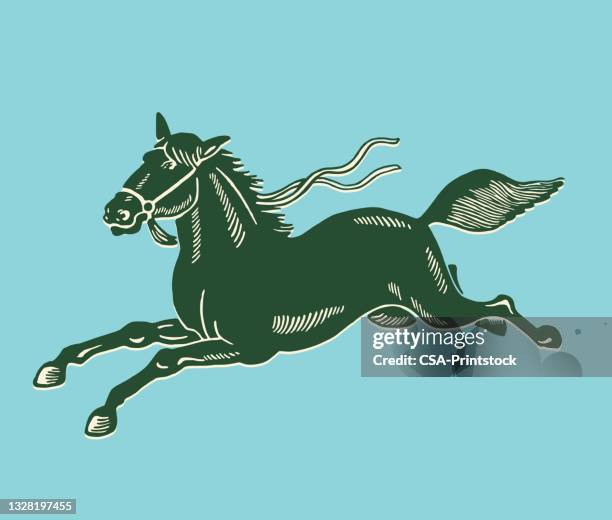 leaping horse - horse tail stock illustrations