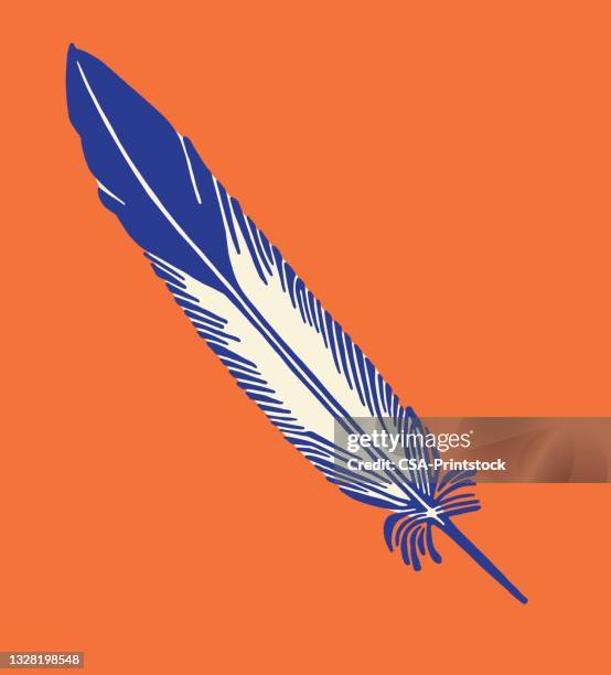 feather - feather vector stock illustrations