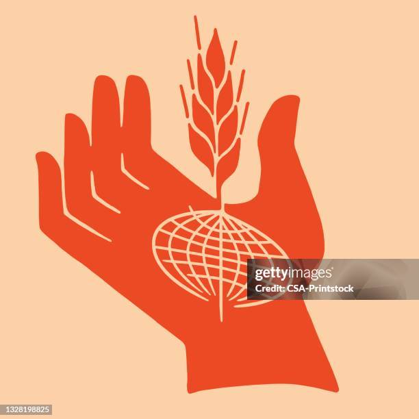 hand globe and wheat - wheat stock illustrations
