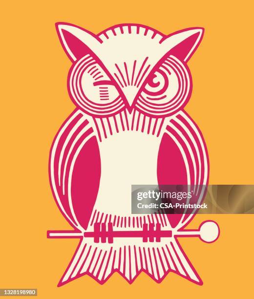 87 Owl Wink Stock Photos, High-Res Pictures, and Images - Getty Images