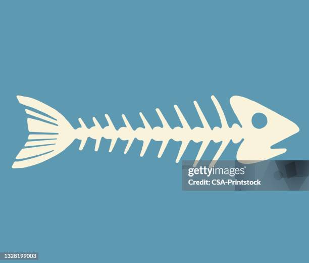 fisch skelett - animal bone stock-grafiken, -clipart, -cartoons und -symbole