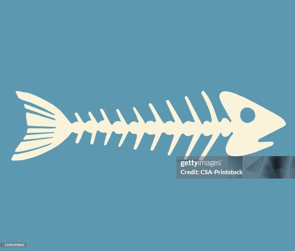 Fish Skeleton